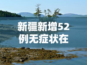 新疆新增52例无症状在伊犁博州阿克苏 新疆新增52例无症状在伊犁博州阿克苏