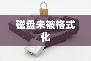 磁盘未被格式化 磁盘未被格式化