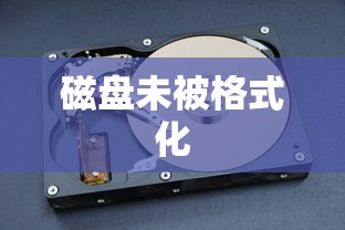 磁盘未被格式化