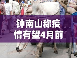 钟南山称疫情有望4月前结束 · 钟南山说疫情多久结束