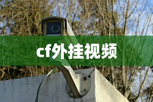 cf外挂视频