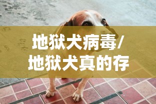 地狱犬病毒/地狱犬真的存在吗 地狱犬病毒/地狱犬真的存在吗
