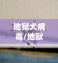 地狱犬病毒/地狱犬真的存在吗
