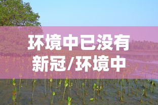 环境中已没有新冠/环境中已没有新冠病毒 环境中已没有新冠/环境中已没有新冠病毒