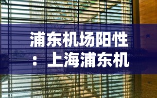 浦东机场阳性:上海浦东机场服务人员阳性行动轨迹 浦东机场阳性:上海浦东机场服务人员阳性行动轨迹