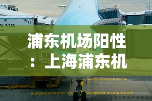 浦东机场阳性：上海浦东机场服务人员阳性行动轨迹