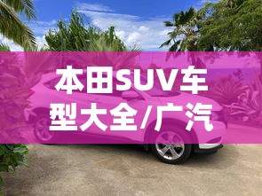 本田SUV车型大全/广汽本田suv车型大全