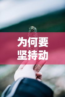 为何要坚持动态清零