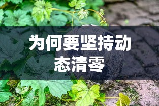为何要坚持动态清零 为何要坚持动态清零