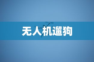 无人机遛狗 无人机遛狗