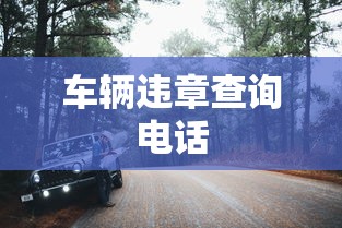 车辆违章查询电话