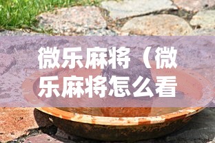微乐麻将(微乐麻将怎么看战绩) 微乐麻将(微乐麻将怎么看战绩)
