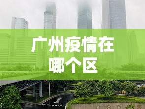 广州疫情在哪个区