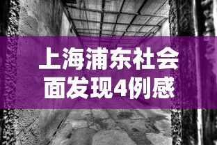 上海浦东社会面发现4例感染者（浦东又确诊一例）