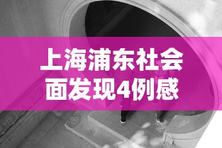 上海浦东社会面发现4例感染者（浦东又确诊一例）
