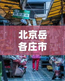 北京岳各庄市场疫情已致50人感染:北京岳各庄属于哪个区 北京岳各庄市场疫情已致50人感染:北京岳各庄属于哪个区