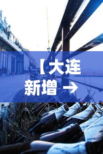 【大连新增 → 大连新增电子警察】