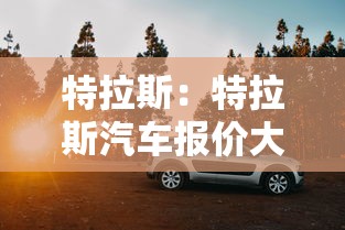 特拉斯：特拉斯汽车报价大全