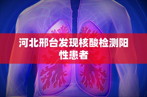 河北邢台发现核酸检测阳性患者 河北邢台发现核酸检测阳性患者