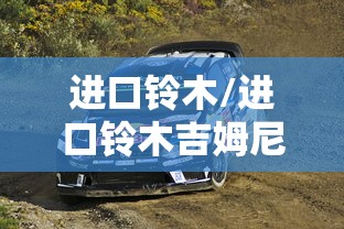 进口铃木/进口铃木吉姆尼