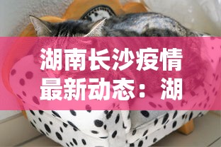 湖南长沙疫情最新动态:湖南长沙疫情最新动态消息