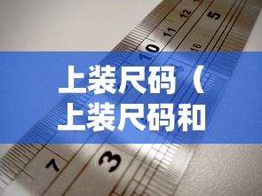 上装尺码(上装尺码和下装尺码是啥意思)