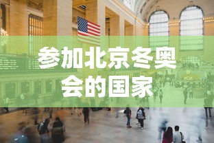 参加北京冬奥会的国家