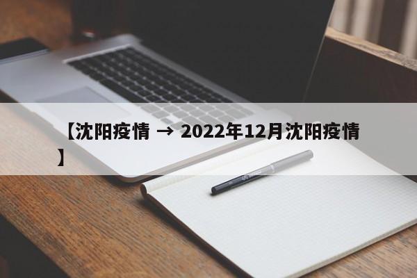 【沈阳疫情 → 2022年12月沈阳疫情】