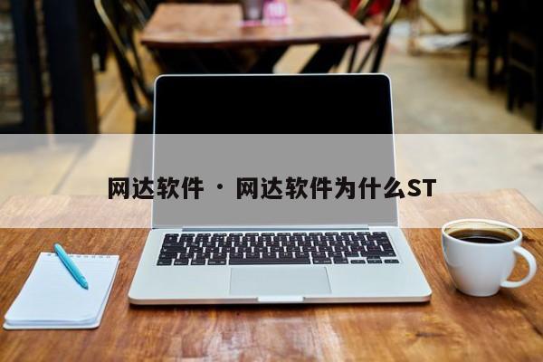 网达软件 · 网达软件为什么ST