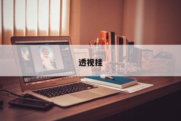 透视挂