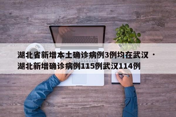 湖北省新增本土确诊病例3例均在武汉 · 湖北新增确诊病例115例武汉114例