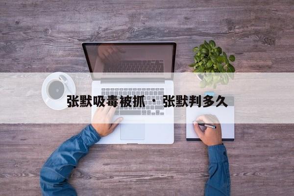 张默吸毒被抓 · 张默判多久