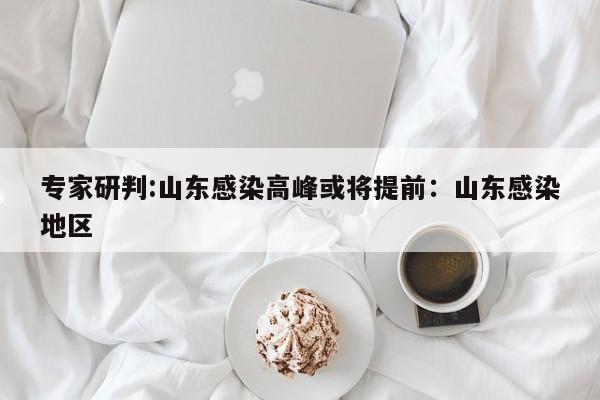 专家研判:山东感染高峰或将提前:山东感染地区