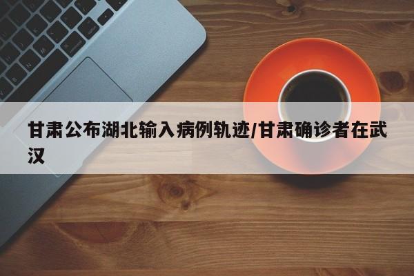 甘肃公布湖北输入病例轨迹/甘肃确诊者在武汉